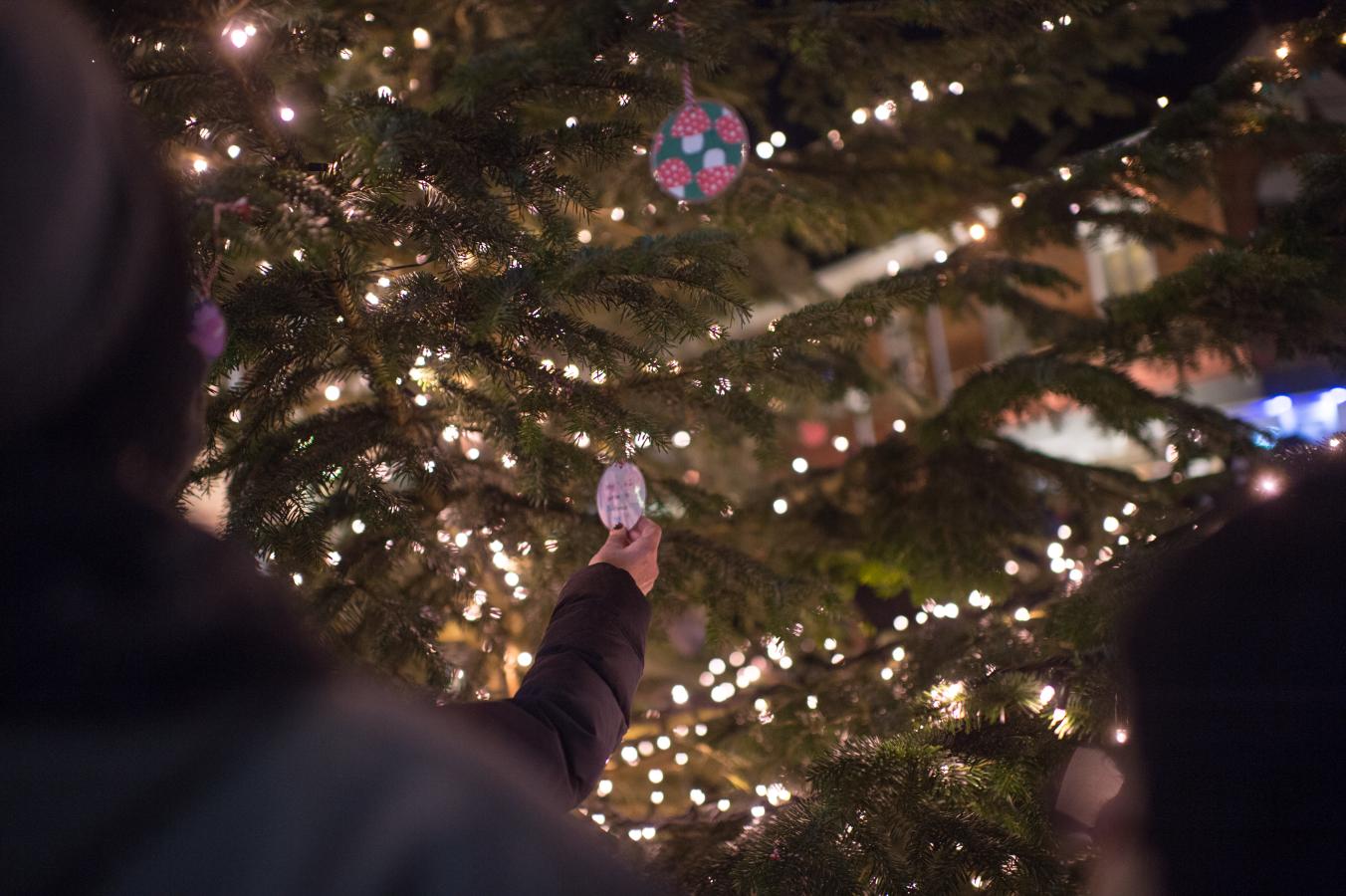 Juletræ I frederikssund