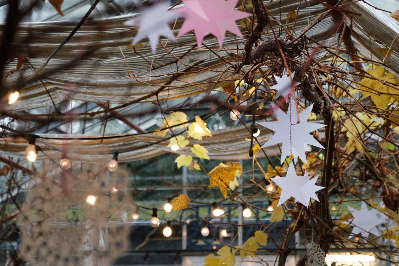 Sct Hans Have julepynt