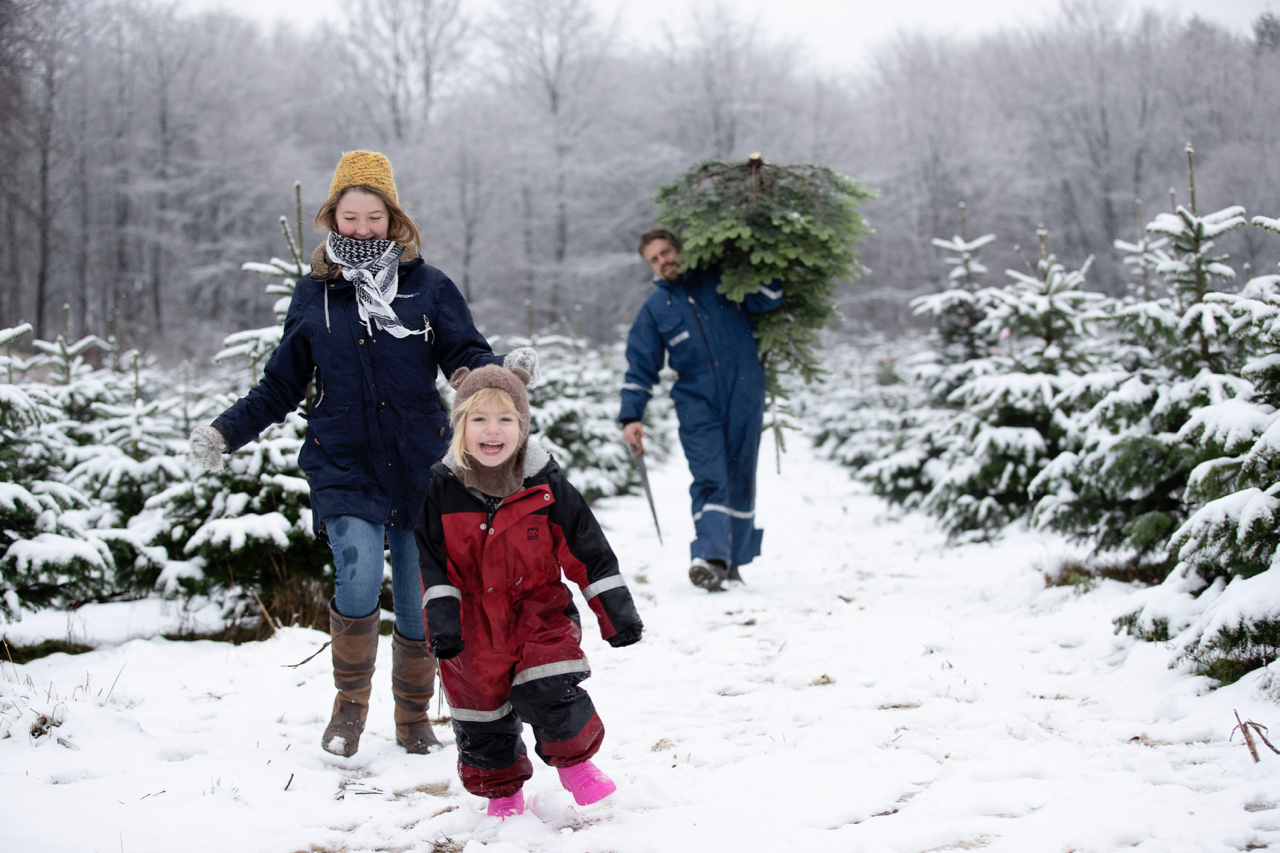 Ryegaard jul juletræ