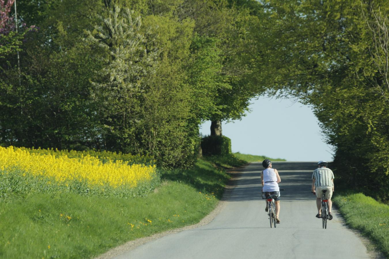 idyl cykeltur sommer 