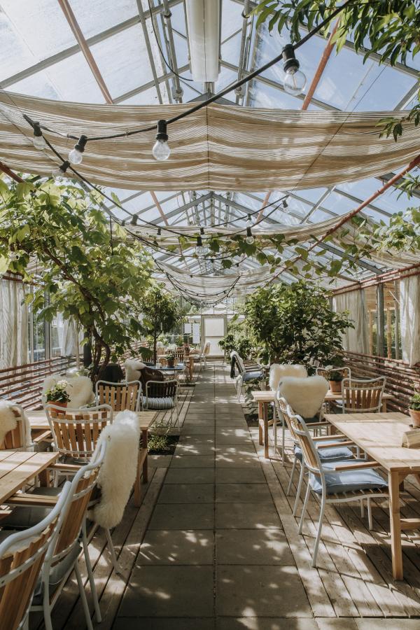 Drivhus på Sankt Hans Have i Roksilde