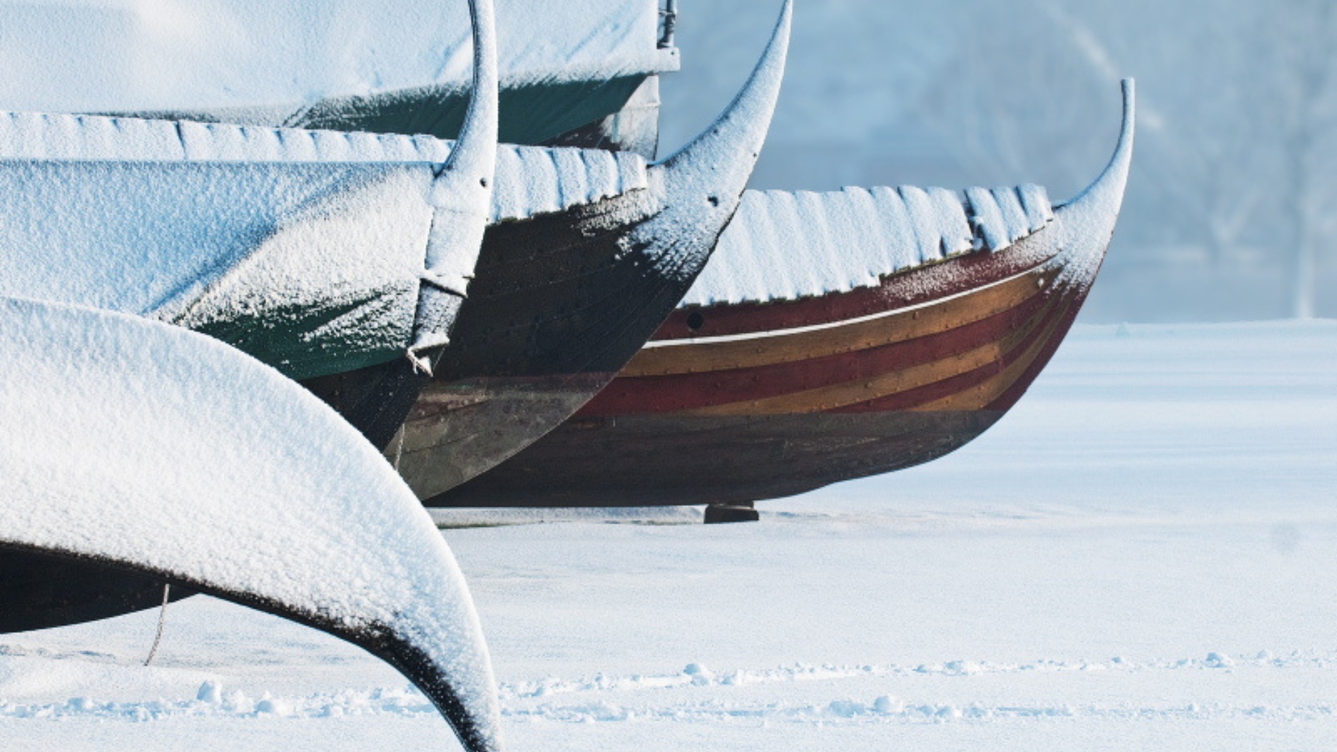 Havhingsten fra Glendalough stående på sne ved Vikingeskibsmuseet i Roskilde, et rekonstrueret vikingeskib inspireret af originale fund.