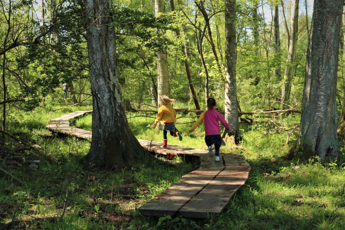 Børn løber på spang gennem rørmosen