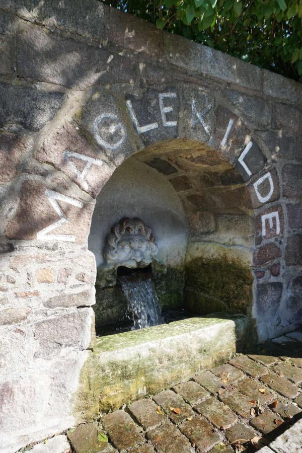 Maglekilde i Roskilde tæt på centrum