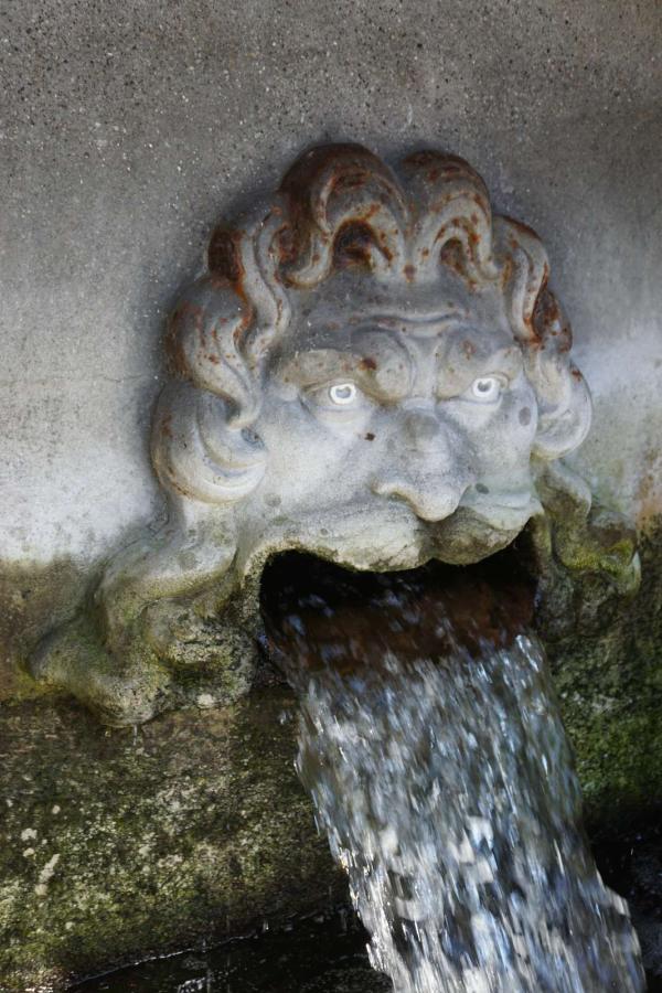 Maglekilde i Roskilde