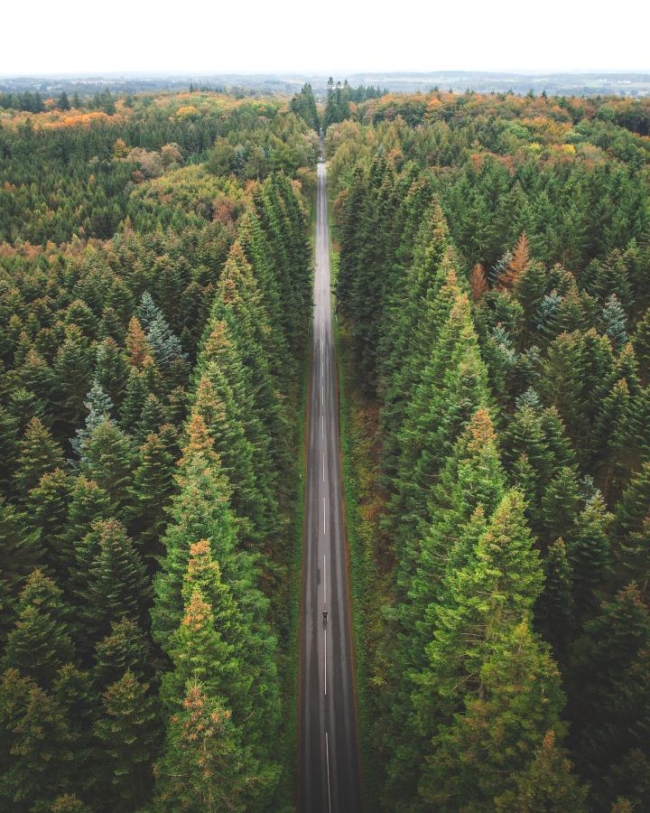 Bidstrup Skovene, Lejre